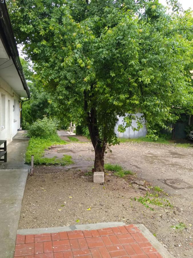 Garsoniera In Centru Apartment Cluj-Napoca Ngoại thất bức ảnh